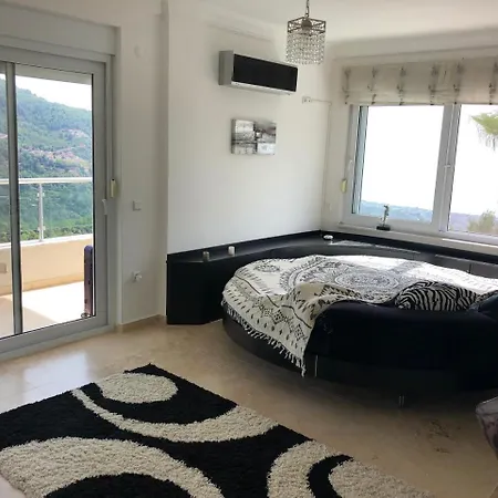 Dream View *