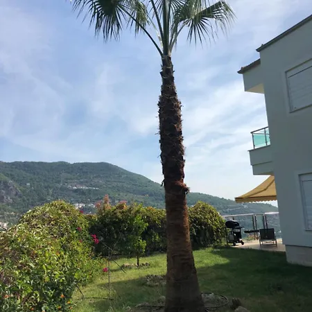 Dream View